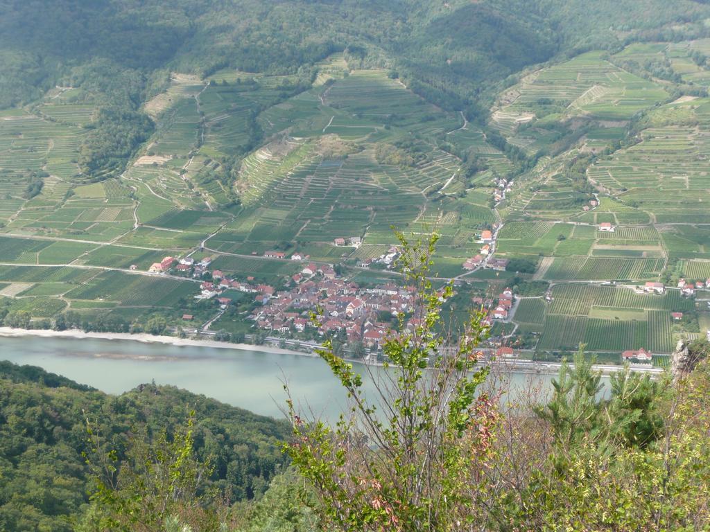 Weingut Langmayer Wösendorf Exterior foto