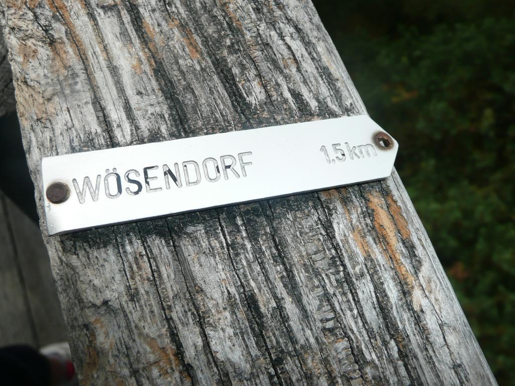 Weingut Langmayer Wösendorf Exterior foto