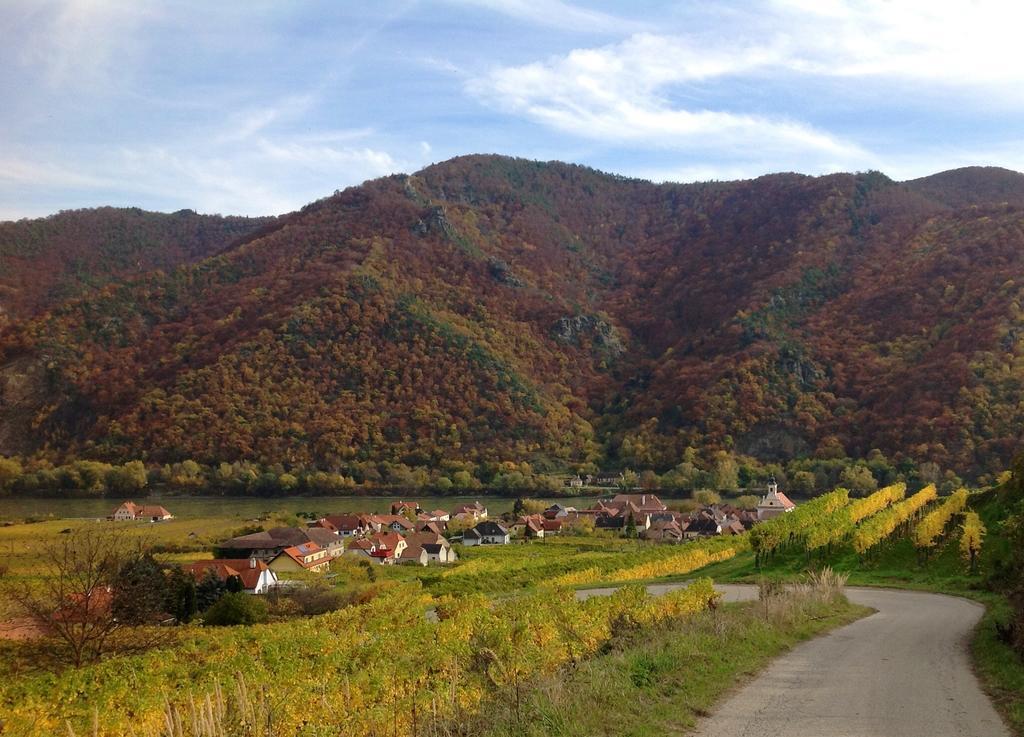 Weingut Langmayer Wösendorf Exterior foto
