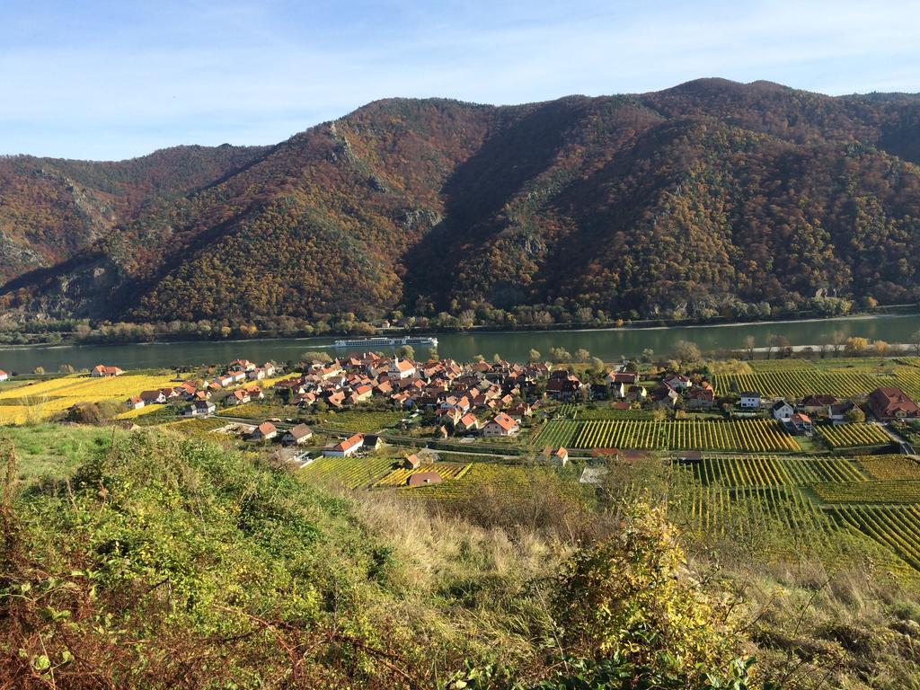 Weingut Langmayer Wösendorf Exterior foto
